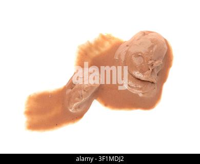 Melted chocolate ice cream isolated, real melting cocoa icecream drops, chocolate ice stain puddle on white background Stock Photo