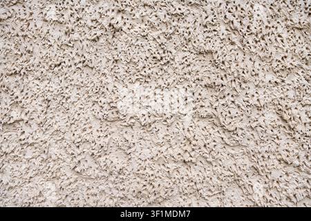 Very coarse textured plaster, beige, abstract, on a wall Stock Photo