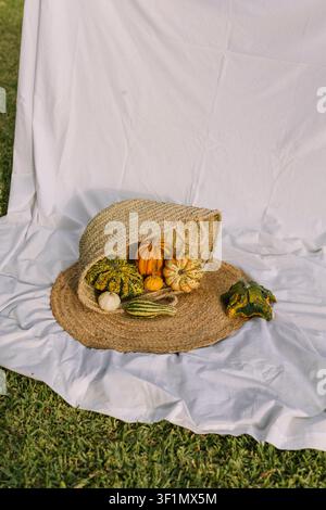 Assortment of colorful autumn gourds and small pumpkins displayed in a woven straw bag on white draped fabric outdoors, rustic harvest still life. Stock Photo