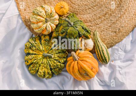 Assorted decorative gourds and small pumpkins arranged on white fabric beside a woven straw mat, creating a rustic autumn harvest still life with natu Stock Photo