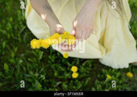 A close-up of a woman's hands delicately creating a dandelion flower crown in a lush green park. Sunlight filters through the trees, casting gentle sh Stock Photo
