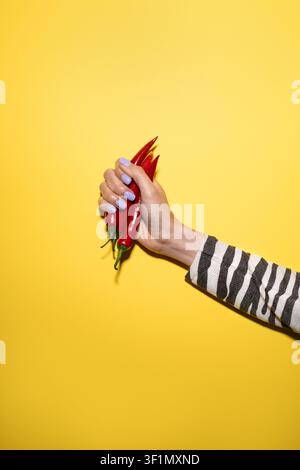Minimal studio photo of a hand with pastel manicure holding red chili peppers against a bright yellow background, bold pop art food concept with copy Stock Photo