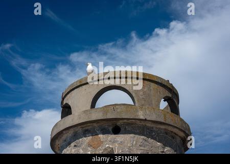 Seagull Resting on an Ancient Watchtower. Stock Photo