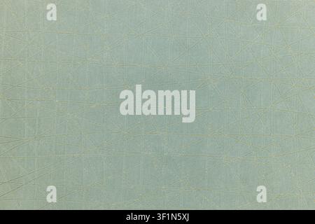 Sage green textured wallcovering background Stock Photo