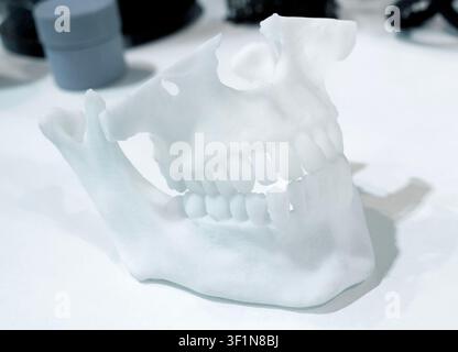 3D printed model of lower jaw made of white plastic on 3D printer. Upper and lower jaws printed on 3D printer from molten plastic isolated on white background. FDM technology Fused Deposition Modeling Stock Photo