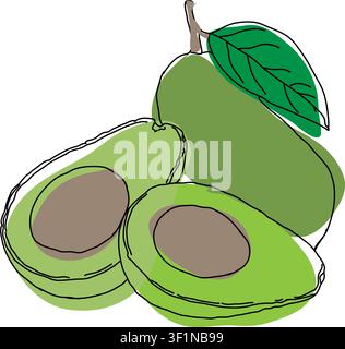 Outline drawing for avocado, avocado line art, hand-painting set, EPS format, Vector green avocado branch isolated. Vector cartoon illustration. Flat Stock Vector