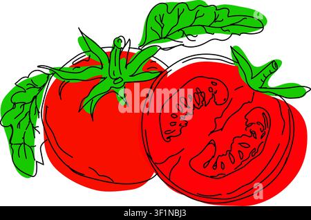 Stylized collection of flat vector elements in green colors, outline drawing for Tomatoes, design, red Tomato line art, hand painting set, EPS format Stock Vector