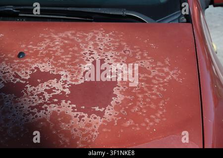 The hood of a red car with white spots and stains from sea salt closeup Stock Photo
