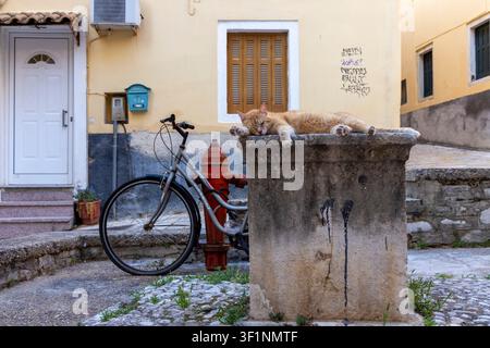 Corfu, Greece, July 10, 2026: Orange cat sleeping deeply on a stone structure next to a bicycle in a European street Stock Photo