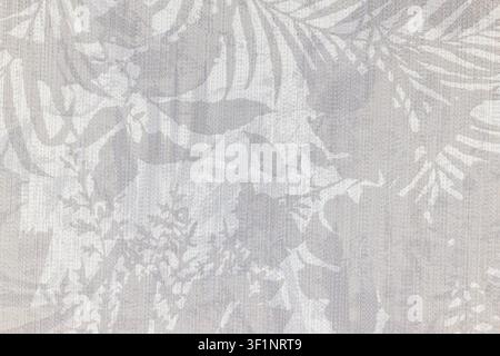 Neutral gray textured wall with tropical plant shadows Stock Photo