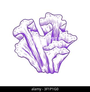 Hand drawn sea coral, ocean plants. Vintage underwater purple botanical seaweed, sketch fauna leaf, nature aquarium algae kelp. Colorful sketch style decorative objects. Vector isolated illustration Stock Vector