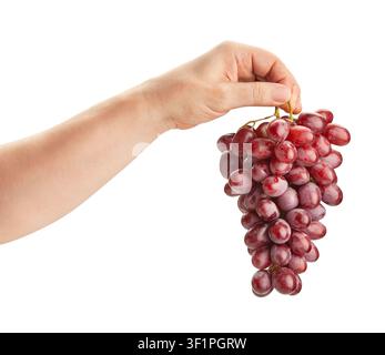 red grape in hand path isolated on white Stock Photo
