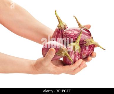 aubergine eggplant in hand path isolated on white Stock Photo