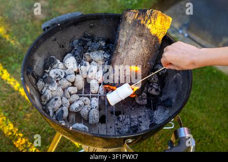 Roasting Marshmallows Over a Charcoal Grill. A hand roasts two marshmallows on a wooden skewer over flames, glowing coals, ash, and a charred log in Stock Photo