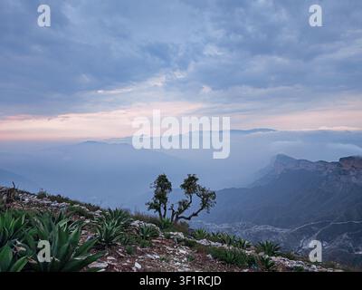 A mountain range with a cloudy sky and a tree in the foreground. The sky is a mix of blue and gray, giving the image a serene and peaceful mood Stock Photo