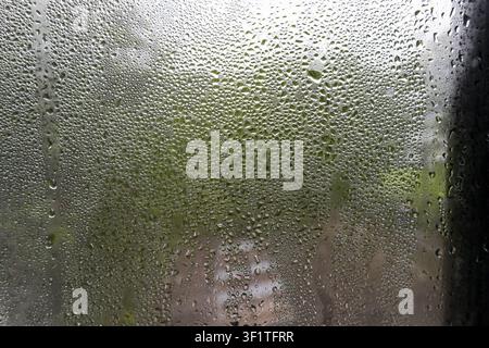 A dew drops on glass window with blurred green foliage outside creating moody atmosphere, closeup texture and condensation pattern Stock Photo