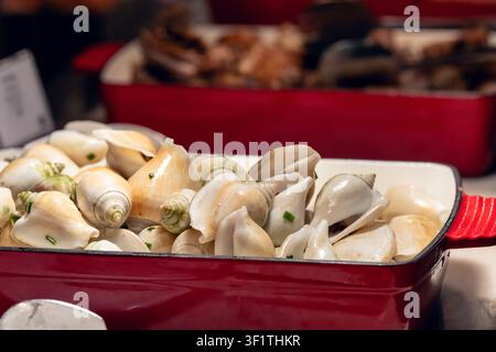 Cooked sea snails served in red dish at Phu Quoc market, showcasing tropical seafood Stock Photo