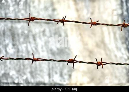 Rusty barbed wire creating a strong barrier, concept of restriction, security, prison, and boundary against a blurred wall Stock Photo
