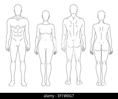 Minimal vector set of male and female human body outlines shown in front and back views. Clean anatomical templates ideal for medical illustrations, a Stock Vector