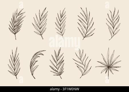 Sketch palm leaves vector set. Hand drawn outline tropical leaves collection. Cononut leaf branch, botanical line art Stock Vector