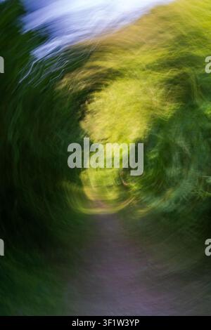 Abstract motion blur effect creates a swirling vortex of vibrant green foliage and a subtle hint of a path, evoking a dreamlike and dynamic forest Stock Photo