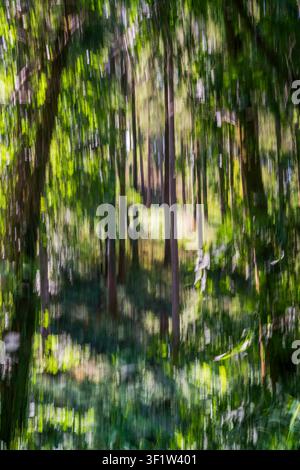 Abstract ICM effect of blurred green leaves and vertical tree trunks, creating a textured background with dynamic streaks of light and shadow. Stock Photo