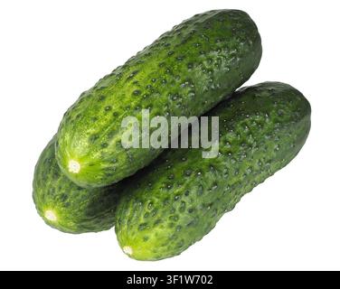 Three cucumbers isolated on white background Stock Photo