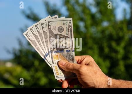 Close up of male hand holding fan of one hundred dollar bills on blurred green nature background. Concept of wealth, successful business, profit, cash Stock Photo
