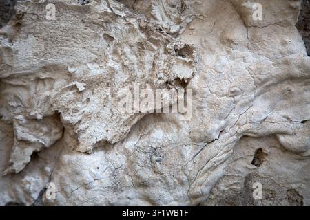 weathered stone surface with cracked stones and dirt in an outdoor natural environment close-up top-down perspective. aged and rugged appearance in Stock Photo