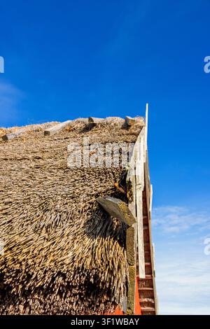 Old red barn with thatched roof made of reeds Stock Photo