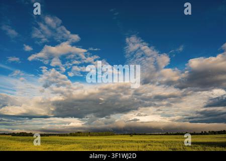 Panoramic rural landscape with dramatic storm clouds over a green field beneath a bright blue sky Stock Photo