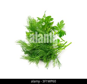 Fresh Parsley and Dill Isolated, Cilantro Leaves, Raw Garden Parsley Twig, Chervil Sprig, Corriender Leaves on White Background Top View Stock Photo