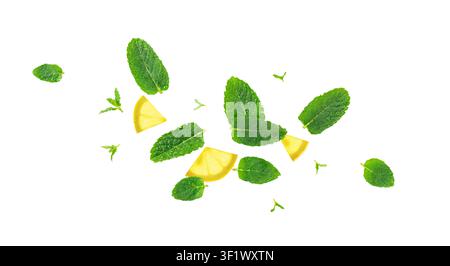 Falling Mint Leaf Set Isolated, Flying Fresh Menthol Leaves, Green Spearmint, Menthol Herb, Mojito Lemonade Ingredient, Mint Leaf on White Background Stock Photo