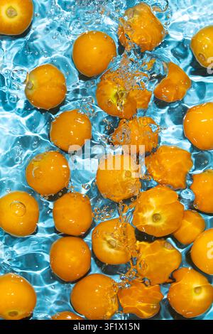 Fresh physalis berries in water splash for refreshing food concept Stock Photo