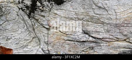 Horizontal close up of a weathered stone boulder surface with porous rough gray mottled texture Stock Photo