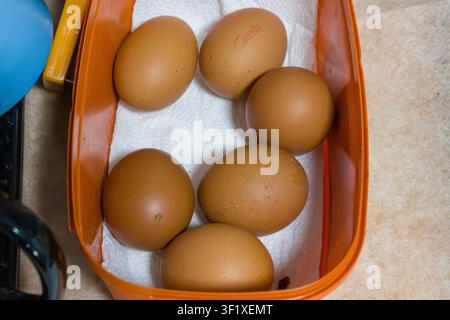 Fresh brown eggs rest on paper in an orange container. Eggs appear clean and unblemished. Container sits on a warm-toned kitchen surface. Simple, ever Stock Photo