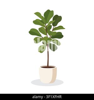 Modern Indoor Fiddle Leaf Fig Tree In Ceramic Pot For Stylish Home Decoration And Interior Design Stock Vector