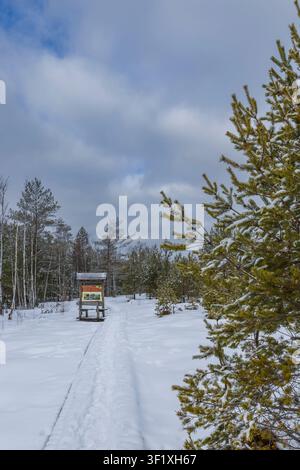Wooden path leading to an information board among snow covered trees in Czechian nature Stock Photo