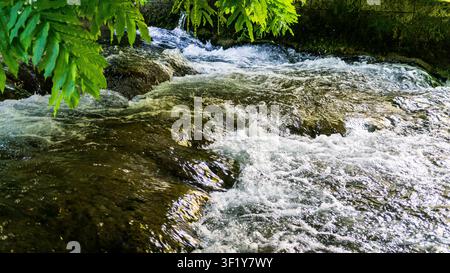 Rushing stream flowing over mossy rocks in Ulm, Germany Stock Photo