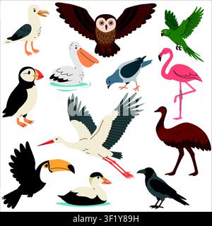 Flat vector illustration of various wild birds, including an owl, falcon, flamingo, and toucan, on a white background. Stock Vector