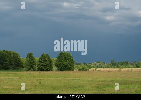 Dramatic dark storm clouds looming over a green meadow and lush trees in the countryside before a summer rain. Stock Photo
