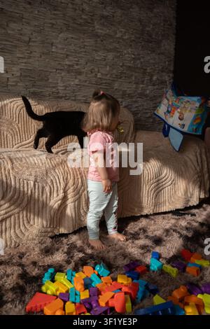 toddler standing by a beige textured sofa in a cozy living room bathed in warm sunlight, a black cat walking on the couch while colorful plastic build Stock Photo