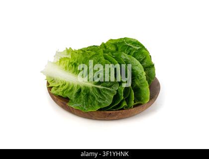 Romaine lettuce salad leaves isolated. Cos green leaves, fresh romain salat, raw romaine cabbage on white background, health leafy roman salad Stock Photo