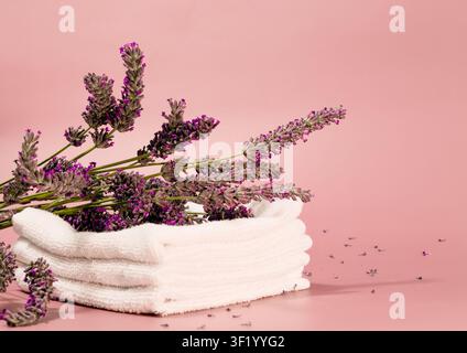 Several vibrant lavender sprigs are elegantly arranged on a neatly folded stack of white towels Stock Photo