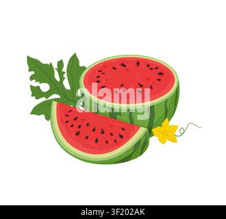 Watermelon with slices and leaf Stock Vector