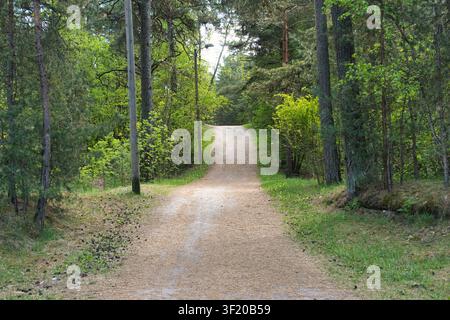 Scenic gravel path winding through a green forest Stock Photo