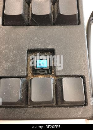 Close up of a computer keyboard with one keycap removed showing the switch Stock Photo