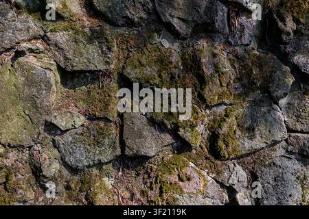 Mossy cyclopean masonry wall texture background, top view of rustic irregular broken stone pavement, full frame moss covered natural rock wall pattern Stock Photo