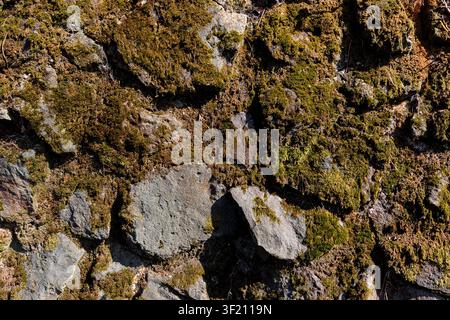Mossy cyclopean masonry wall texture background, top view of rustic irregular broken stone pavement, full frame moss covered natural rock wall pattern Stock Photo