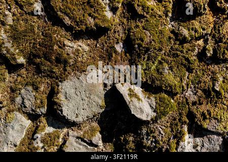 Mossy cyclopean masonry wall texture background, top view of rustic irregular broken stone pavement, full frame moss covered natural rock wall pattern Stock Photo